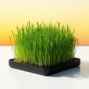 Wheatgrass Fresh Cut (8oz Large Pack)